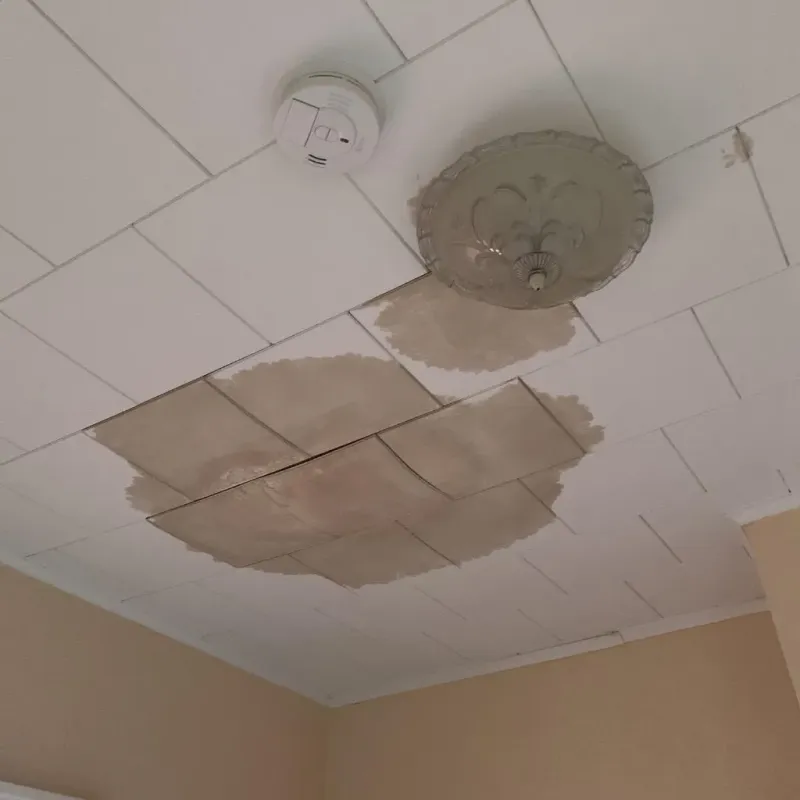 Ceiling Water Damage Repair in National Park, NJ