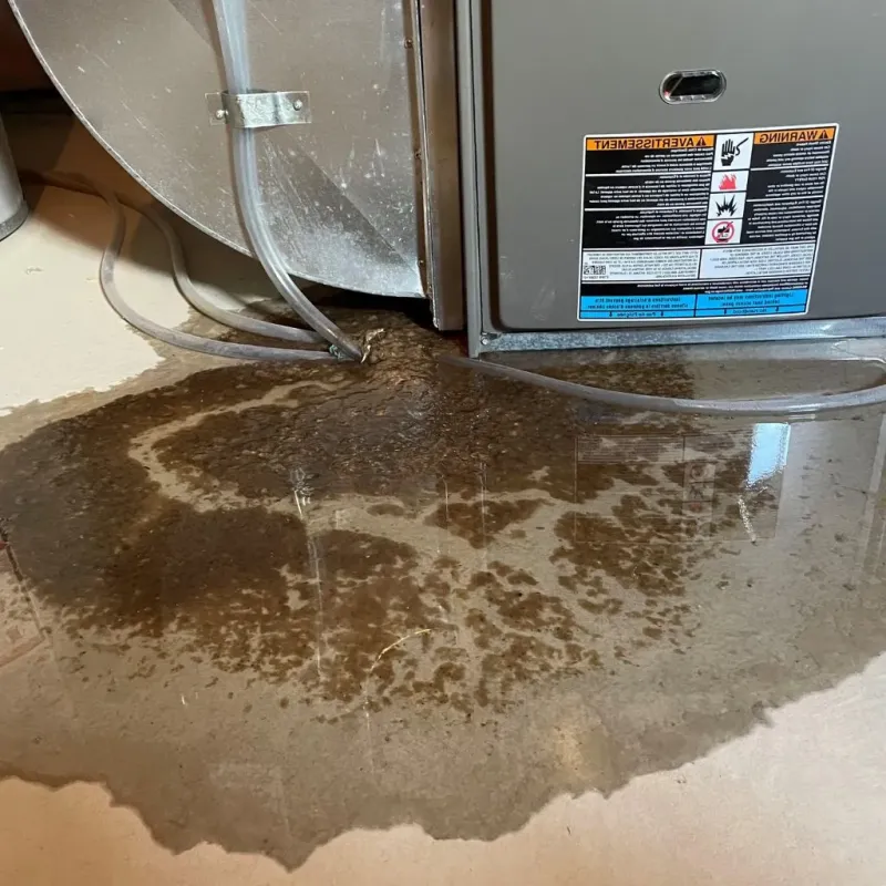 Pipe Burst and Leak Restoration in National Park, NJ