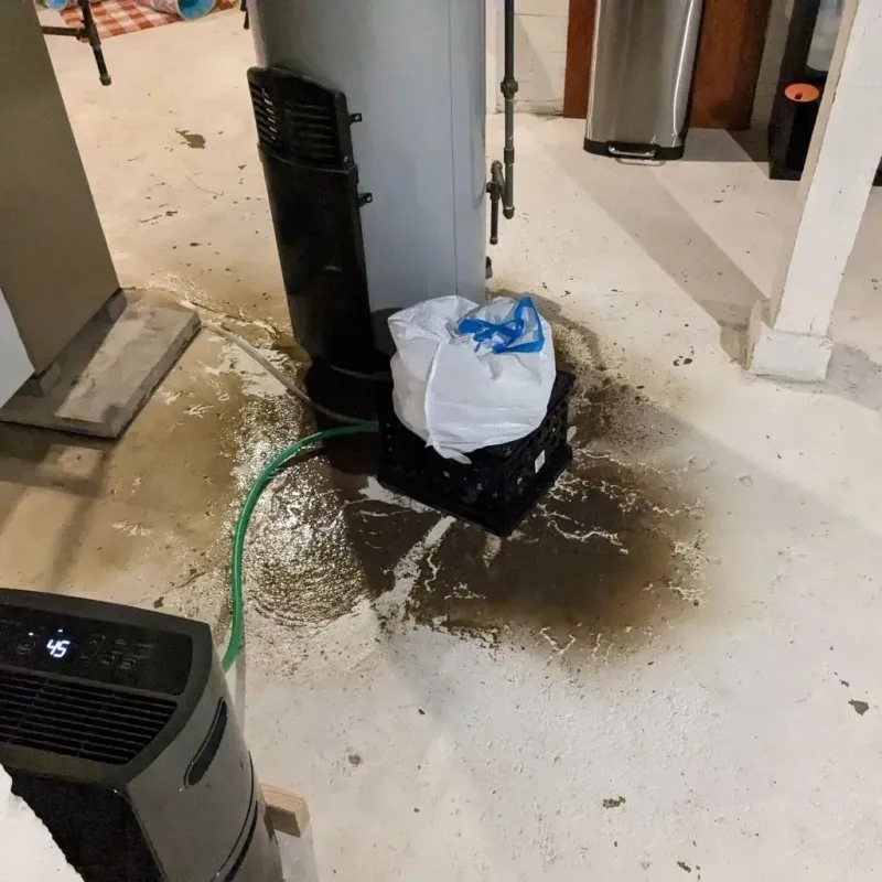 Sewage Backup Cleanup Service in National Park, NJ